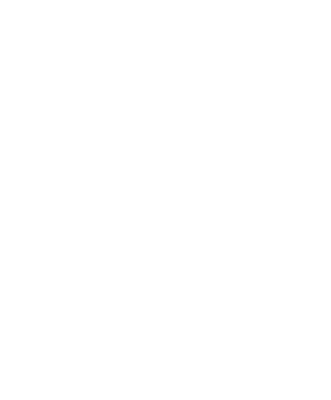 십분의일 - 법률 11